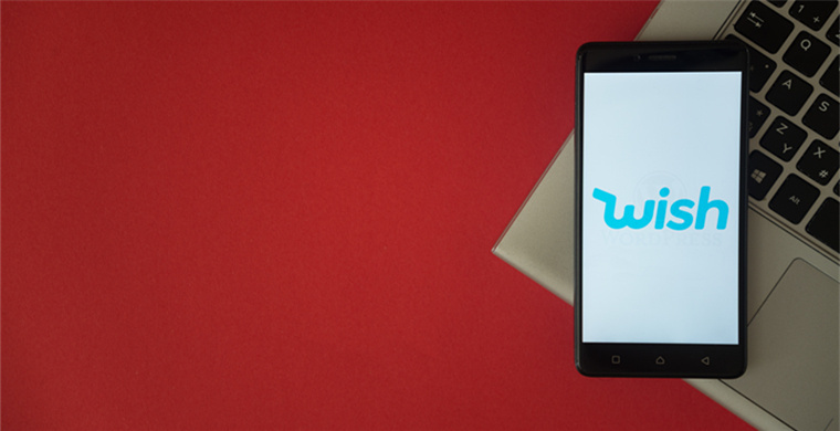 Belgian WS screening media